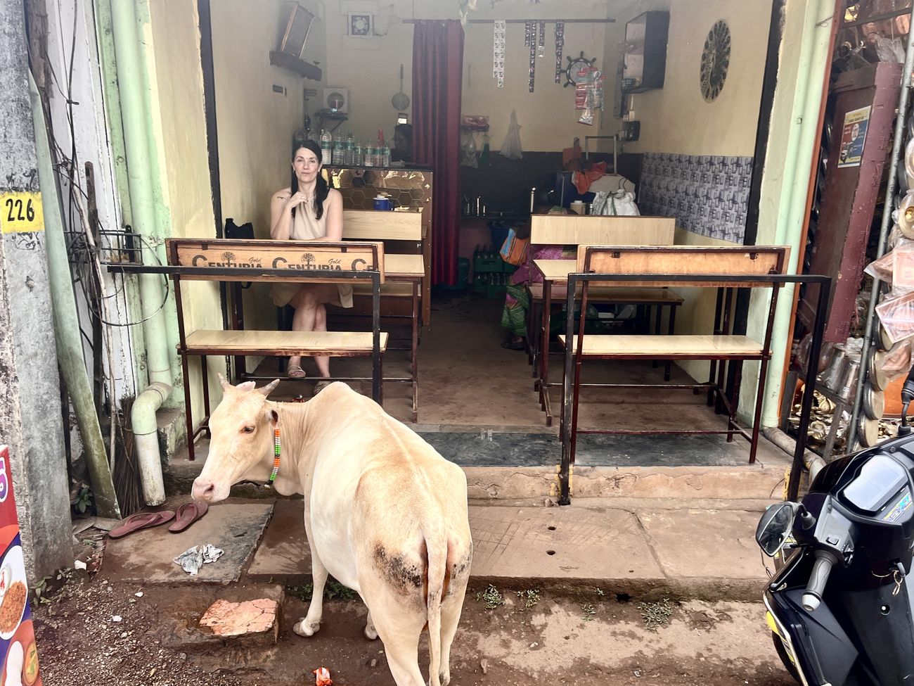 A cow at a café entrance