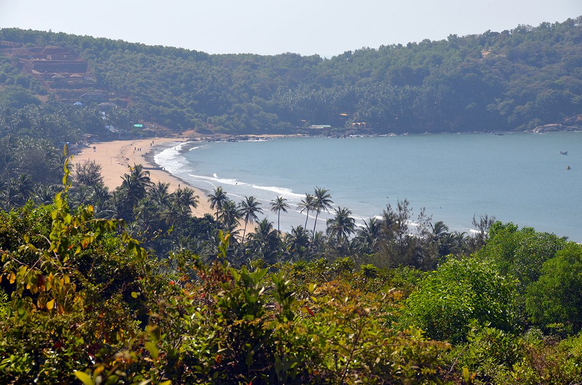 Kudle Bay through the palm trees